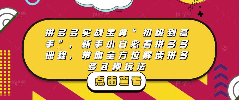 拼多多实战宝典“初级到高手”，新手小白必看拼多多课程，带你全方位解读拼多多各种玩法-零点项目大全