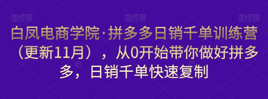 白凤电商学院·拼多多日销千单训练营，从0开始带你做好拼多多，日销千单快速复制（更新知2023年3月）-零点项目大全