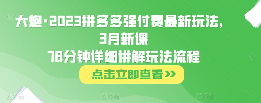 大炮·2023拼多多强付费最新玩法，3月新课​78分钟详细讲解玩法流程-零点项目大全