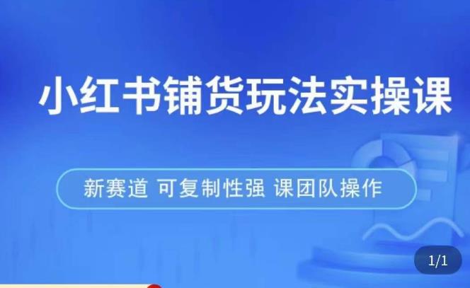 小红书铺货玩法实操课，流量大，竞争小，非常好做，新赛道，可复制性强，可团队操作-零点项目大全