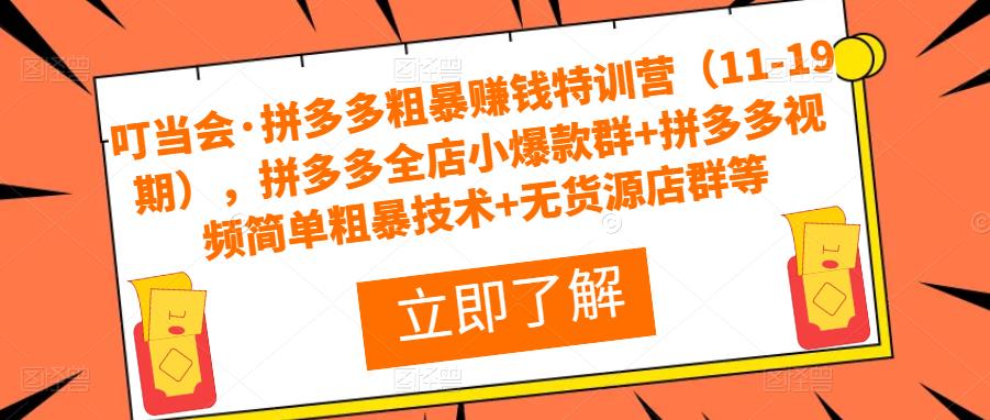 叮当会·拼多多粗暴赚钱特训营（11-19期），拼多多全店小爆款群+拼多多视频简单粗暴技术+无货源店群等-零点项目大全