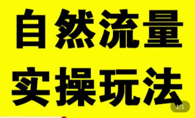 拼多多自然流量天花板，拼多多自然流的实操玩法，自然流量是怎么来的，如何开车带来自然流等知识-零点项目大全