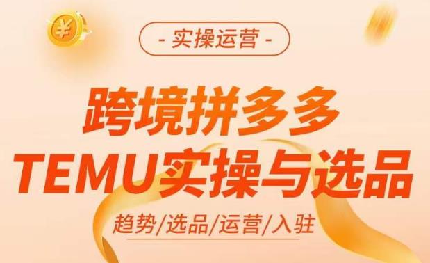 跨境拼多多TEMU实操与选品，​掌握平台运营方法技巧，选品避坑12条标准，爆款的底层思路等-零点项目大全