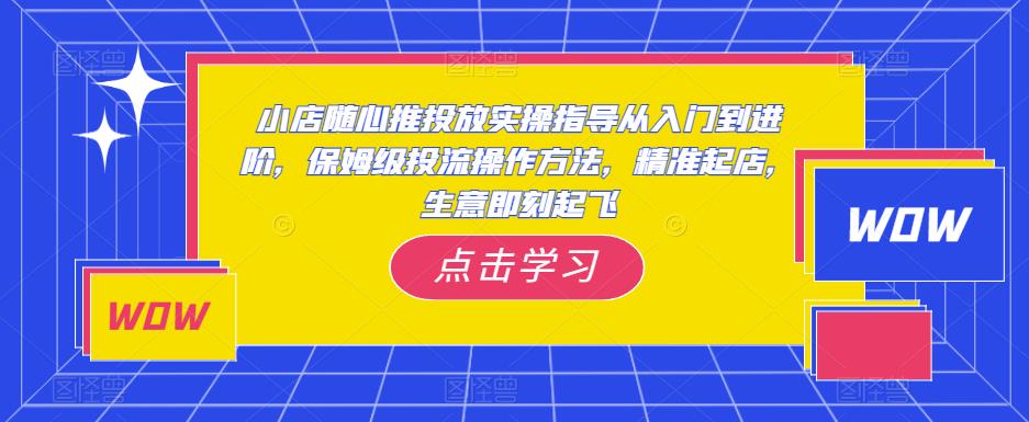 小店随心推投放实操指导从入门到进阶，保姆级投流操作方法，精准起店，生意即刻起飞-零点项目大全