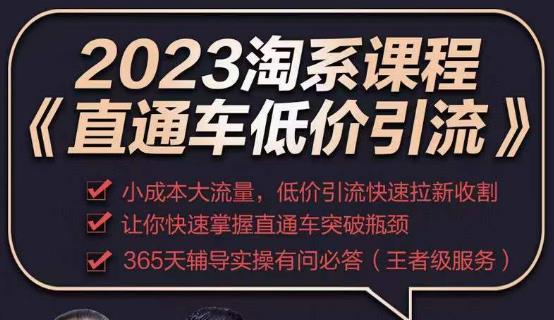 2023直通车低价引流玩法课程，小成本大流量，低价引流快速拉新收割，让你快速掌握直通车突破瓶颈-零点项目大全