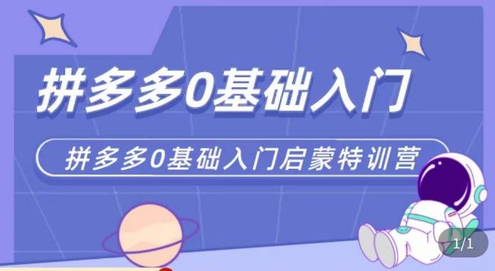 六一电商·拼多多运营0-1实操特训营，拼多多从基础到进阶的可实操玩法-零点项目大全