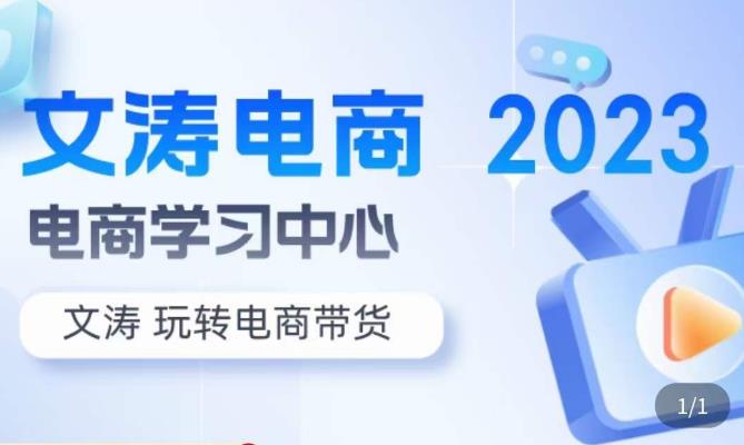 文涛电商·7天零基础自然流起号，​快速掌握店铺运营的核心玩法，突破自然展现量，玩转直播带货-零点项目大全