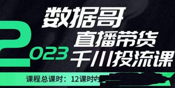 数据哥2023直播电商巨量千川付费投流实操课，快速掌握直播带货运营投放策略-零点项目大全