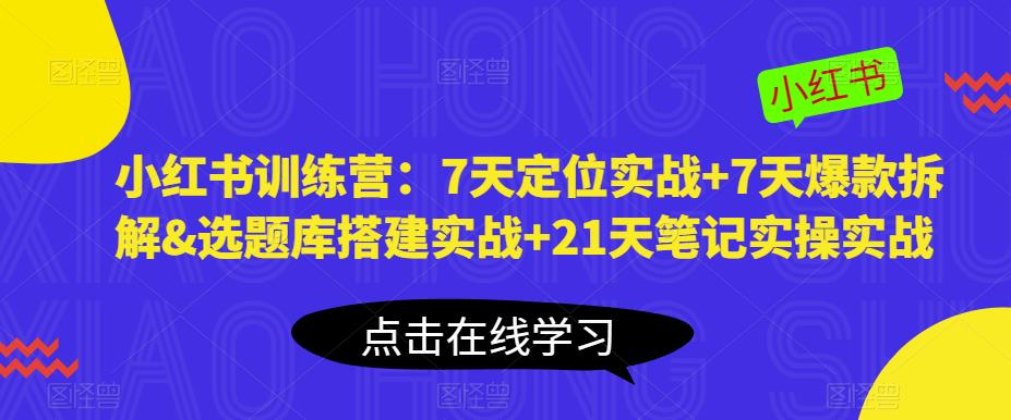 小红书训练营：7天定位实战+7天爆款拆解&选题库搭建实战+21天笔记实操实战-零点项目大全