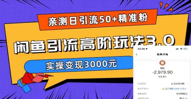 亲测日引50+精准粉，闲鱼引流高阶玩法3.0，实操变现3000元【揭秘】-零点项目大全