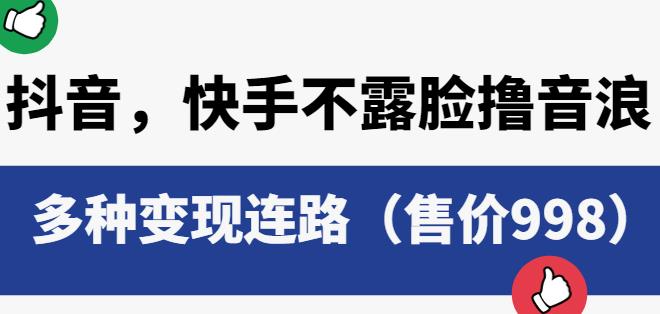 抖音快手不露脸撸音浪项目，多种变现连路（售价998）-零点项目大全