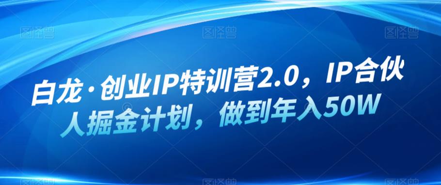 白龙·创业IP特训营2.0，IP合伙人掘金计划，做到年入50W-零点项目大全