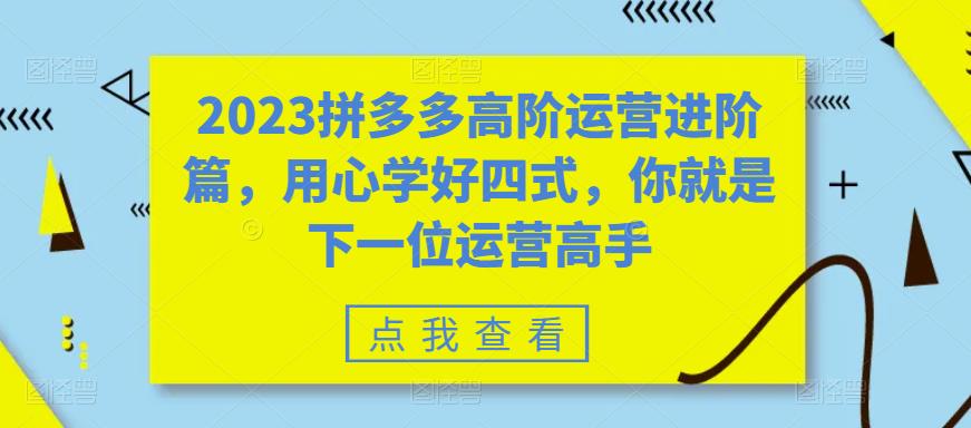 2023拼多多高阶运营进阶篇，用心学好四式，你就是下一位运营高手-零点项目大全