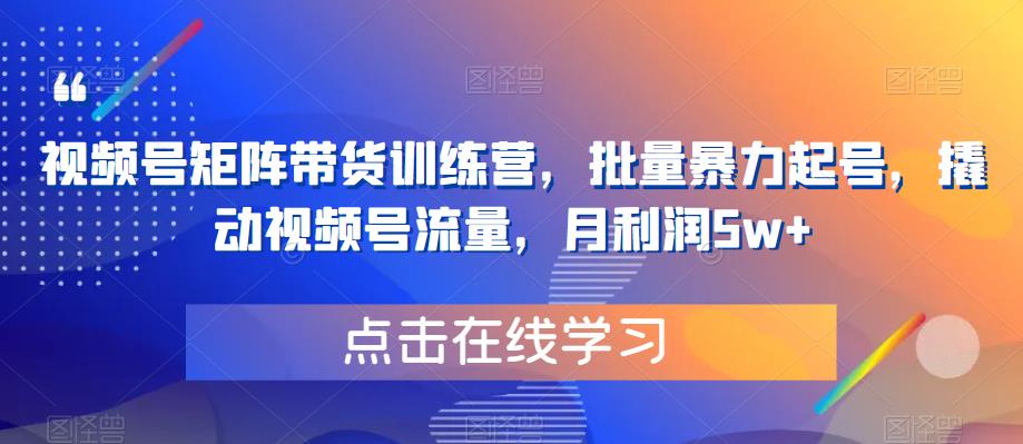 视频号矩阵带货训练营，批量暴力起号，撬动视频号流量，月利润5w+-零点项目大全