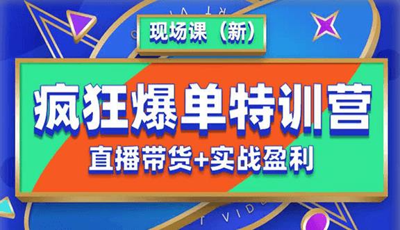 抖音短视频疯狂爆单特训营现场课（新）直播带货+实战案例-零点项目大全