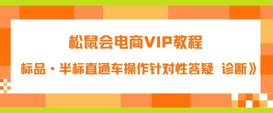 松鼠会电商VIP教程：松鼠《付费推广标品·半标直通车操作针对性答疑&诊断》-零点项目大全