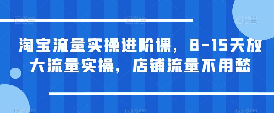 淘宝流量实操进阶课，8-15天放大流量实操，店铺流量不用愁-零点项目大全