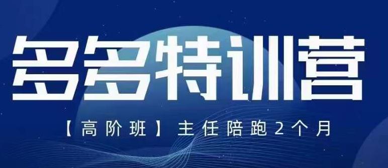 纪主任·5月最新多多特训营高阶班，玩法落地实操，多多全掌握-零点项目大全