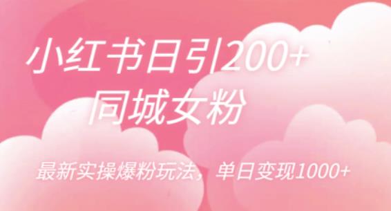 小红书日引200+同城女粉，最新实操爆粉玩法，单日变现1000+【揭秘】-零点项目大全