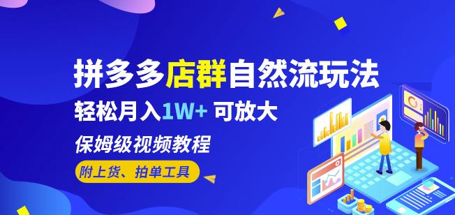 拼多多店群自然流玩法，轻松月入1W+保姆级视频教程（附上货、拍单工具）-零点项目大全