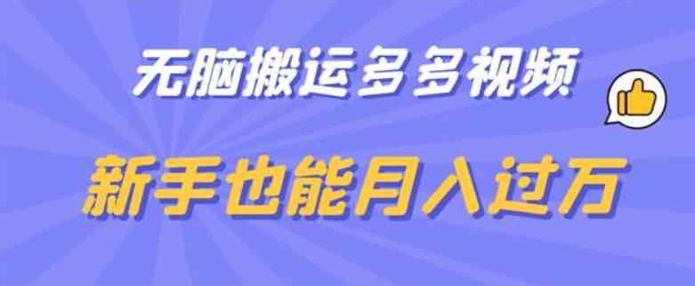 无脑搬运多多视频，新手也能月入过万【揭秘】-零点项目大全