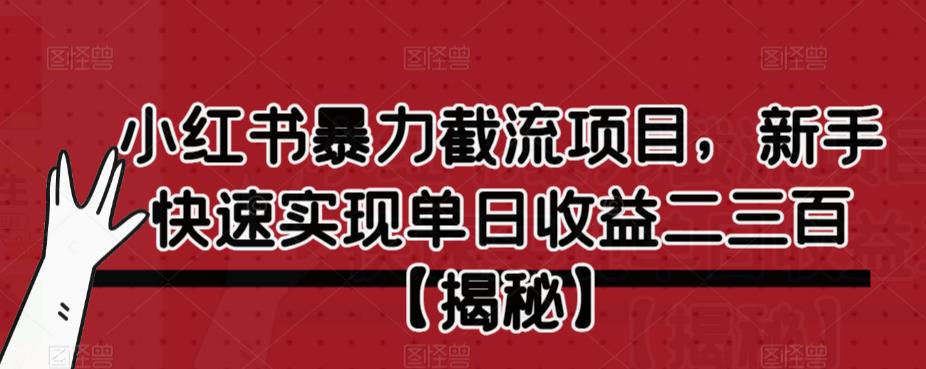 小红书暴力截流项目，新手快速实现单日收益二三百【仅揭秘】-零点项目大全