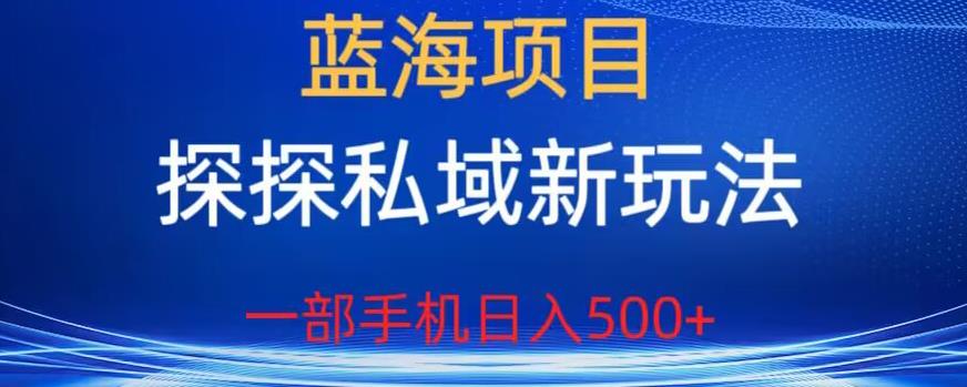 蓝海项目，探探私域新玩法，一部手机日入500+很轻松【揭秘】-零点项目大全