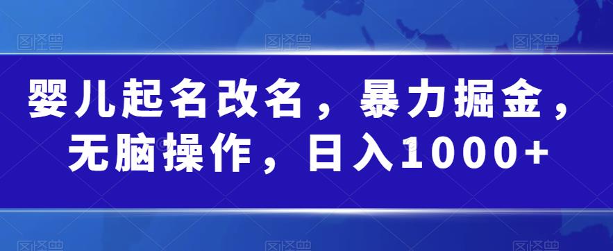 婴儿起名改名，暴力掘金，无脑操作，日入1000+【揭秘】-零点项目大全