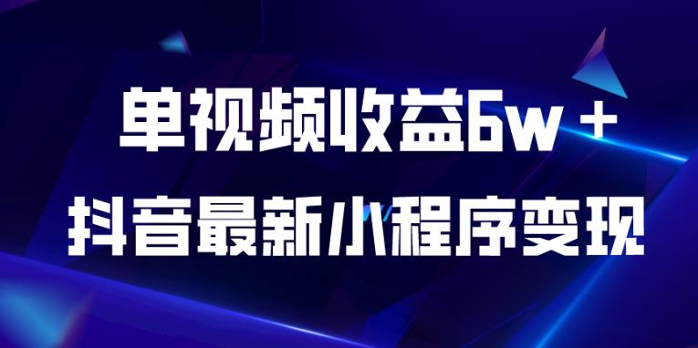 抖音最新小程序变现项目，单视频收益6w＋，小白可做【揭秘】-零点项目大全