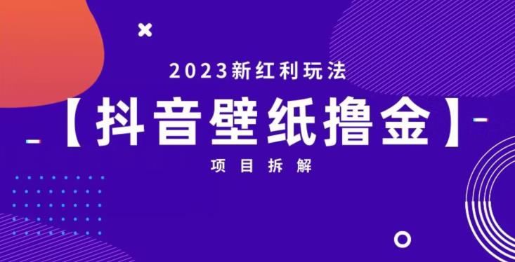 抖音壁纸小程序创作者撸金项目，2023新红利玩法【项目拆解】-零点项目大全