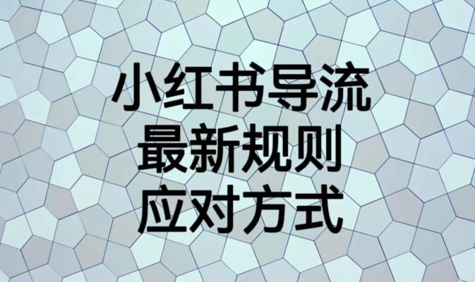 小红书导流最新规则应对方式【揭秘】-零点项目大全