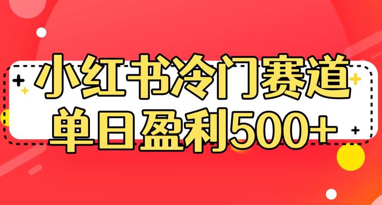 小红书冷门赛道，单日盈利500+【揭秘】-零点项目大全