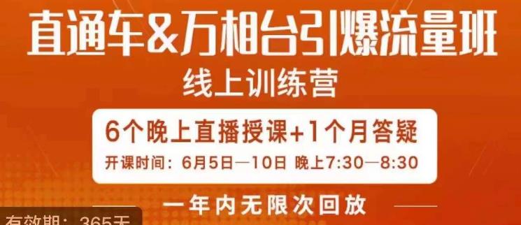 直通车&万相台引爆流量班，6天打通你开直通车·万相台的任督二脉-零点项目大全