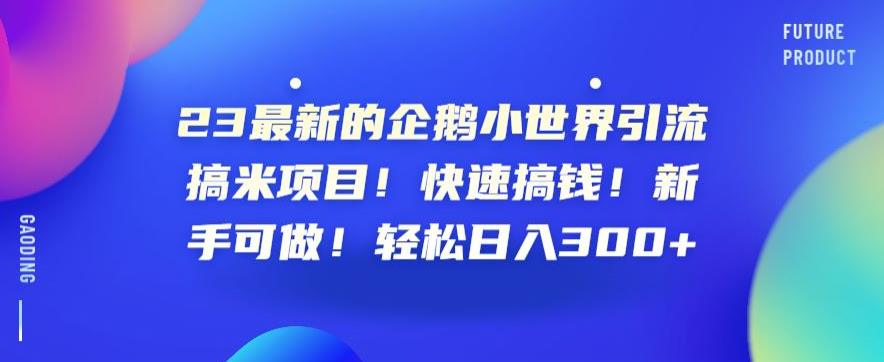 23最新的企鹅小世界引流搞米项目！快速搞钱！新手可做！轻松日入300+【揭秘】-零点项目大全