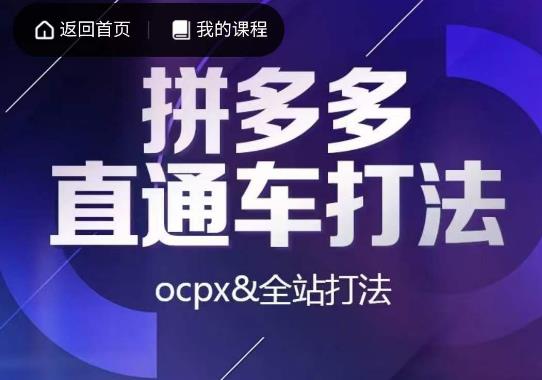 互力·拼多多直通车打法，ocpx&全站打法-零点项目大全