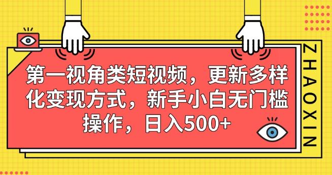 第一视角类短视频，更新多样化变现方式，新手小白无门槛操作，日入500+【揭秘】-零点项目大全