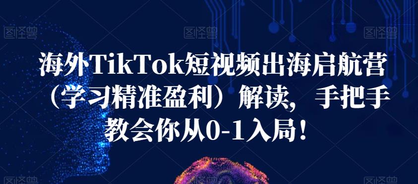 海外TikTok短视频出海启航营（学习精准盈利）解读，手把手教会你从0-1入局！-零点项目大全