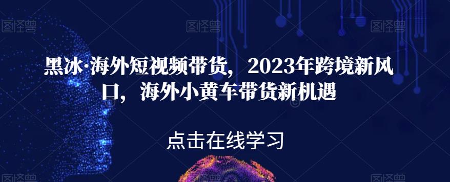 黑冰·海外短视频带货，2023年跨境新风口，海外小黄车带货新机遇-零点项目大全