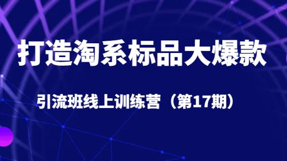 打造淘系标品大爆款引流班线上训练营（第17期）5天直播授课-零点项目大全