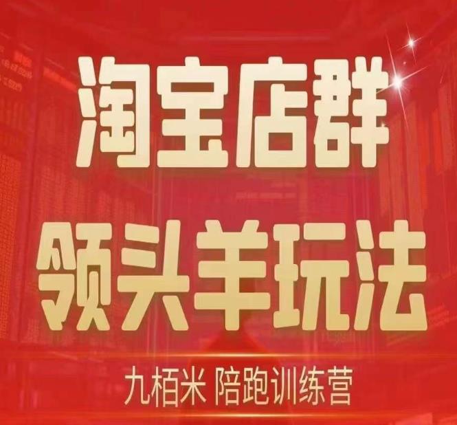 九栢米-淘宝店群领头羊玩法，教你整个淘宝店群领头羊玩法以及精细化/终极蓝海/尾销等内容-零点项目大全