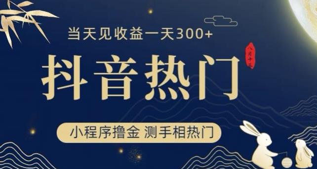 抖音最新小程序撸金，测手相上热门，当天见收益一小时变现300+【揭秘】-零点项目大全