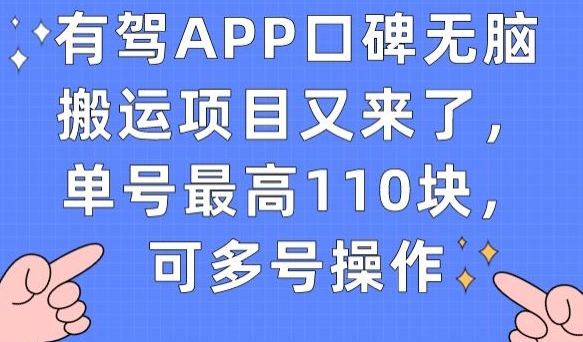 有驾APP口碑无脑搬运项目又来了，单号最高110块，可多号操作-零点项目大全