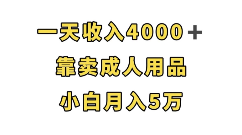 一天收入4000+，靠卖成人用品，小白轻松月入5万【揭秘】-零点项目大全