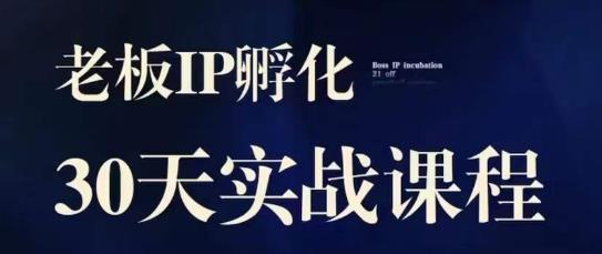 诸葛·2023老板IP实战课，实体同城引流获客，IP孵化必听-零点项目大全