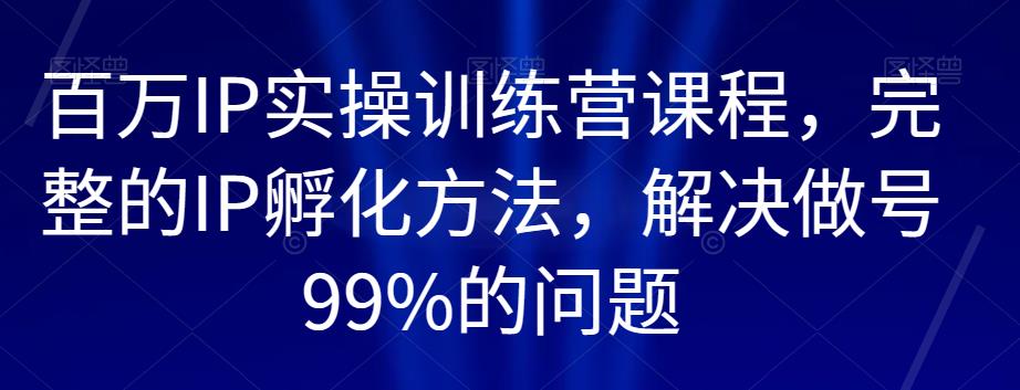 百万IP实操训练营课程，完整的IP孵化方法，解决做号99%的问题-零点项目大全