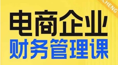 电商企业财务管理线上课，为电商企业规划财税-零点项目大全