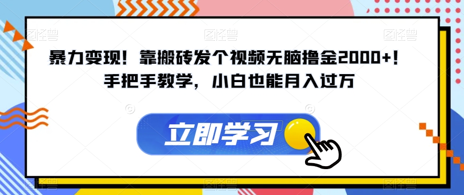 暴力变现！靠搬砖发个视频无脑撸金2000+！手把手教学，小白也能月入过万【揭秘】-零点项目大全