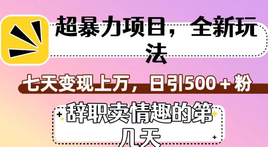 超暴利项目，全新玩法（辞职卖情趣的第几天），七天变现上万，日引500+粉【揭秘】-零点项目大全