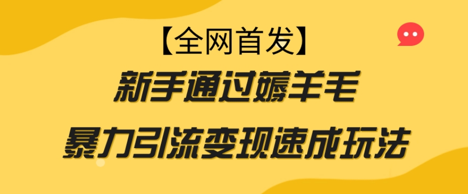 【全网首发】新手通过薅羊毛暴力引流变现速成玩法-零点项目大全