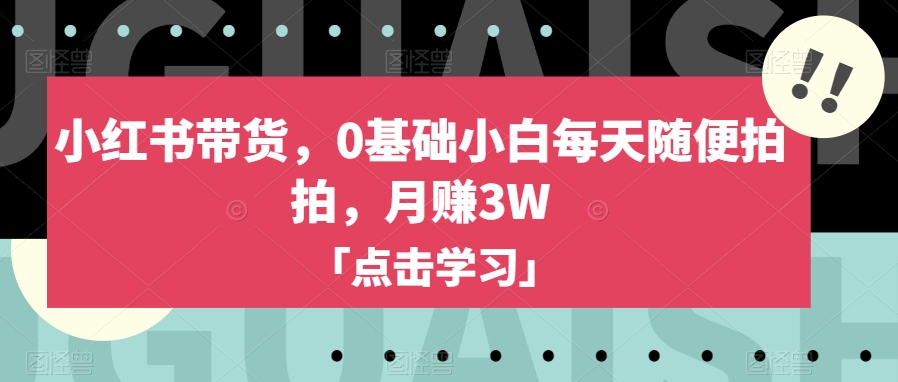 小红书带货，0基础小白每天随便拍拍，月赚3W【揭秘】-零点项目大全